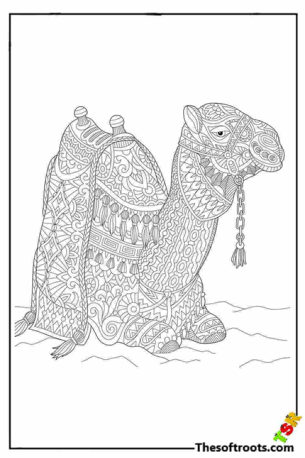 Adult Camel coloring pages