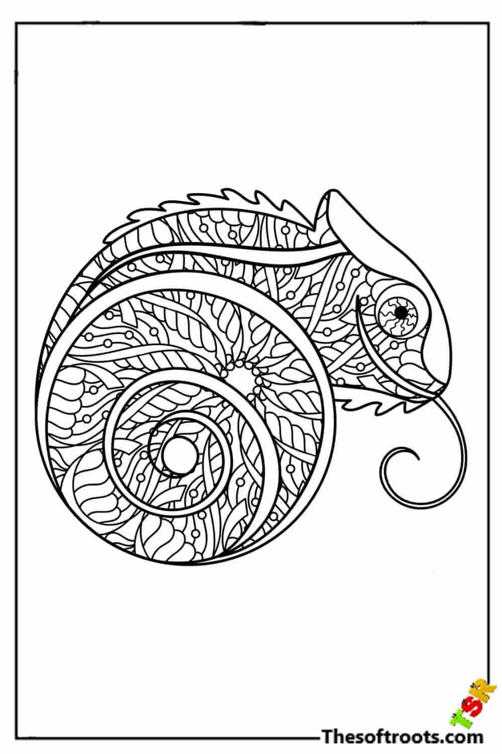Adult Chameleon coloring pages