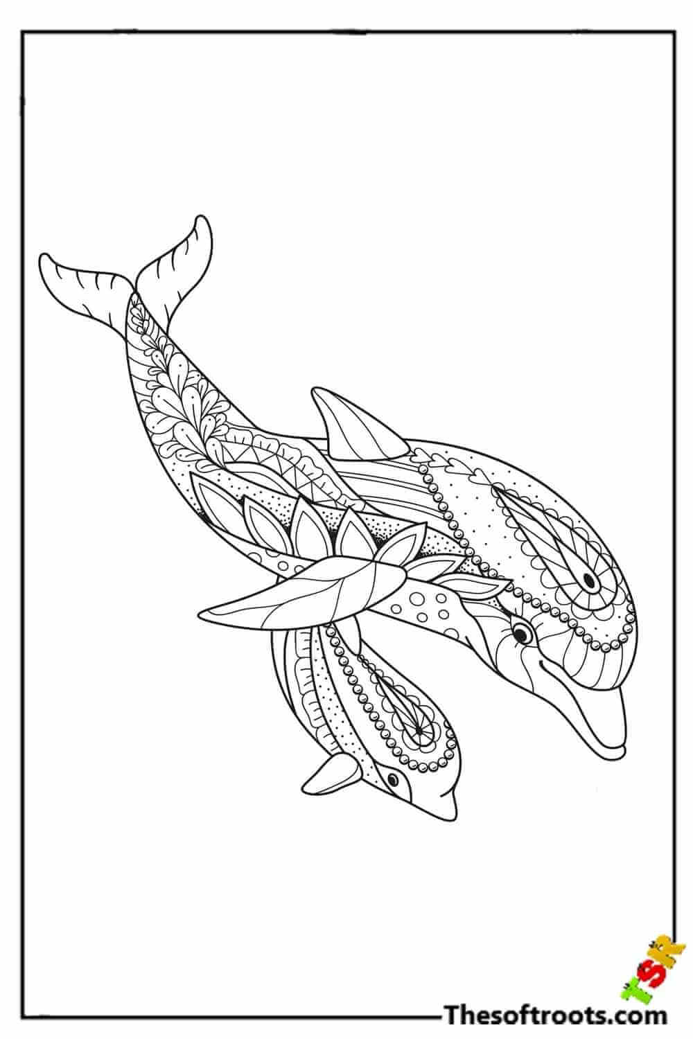 Adult Dolphin coloring pages
