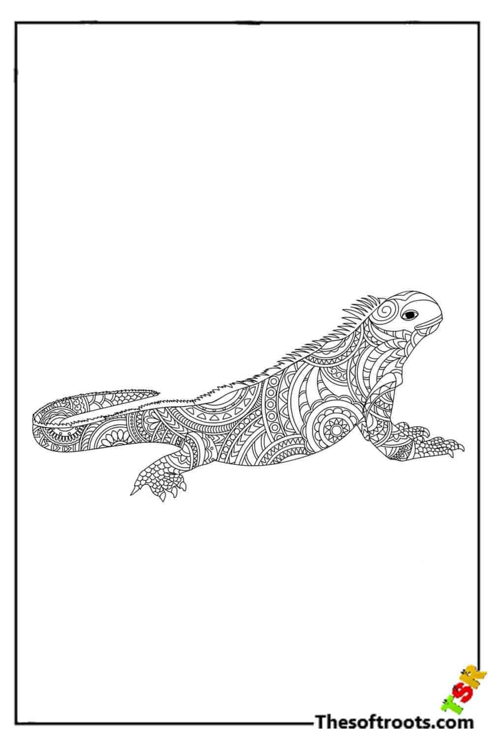Adult Iguana Coloring pages