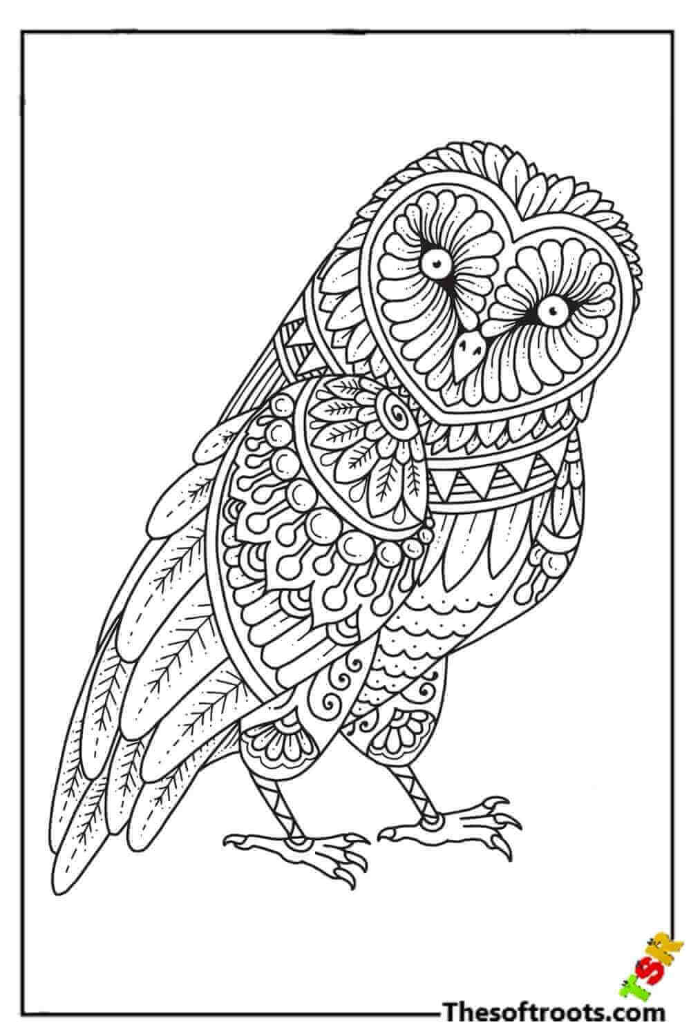 Adult Owl coloring pages