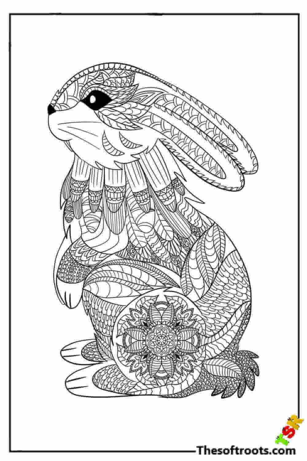 Adult Rabbit coloring pages
