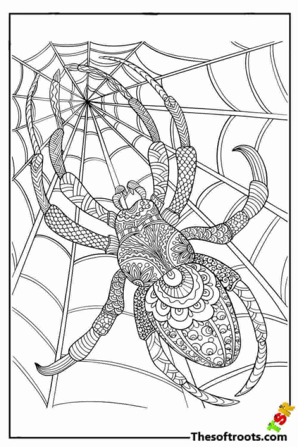 Adult Spider coloring pages