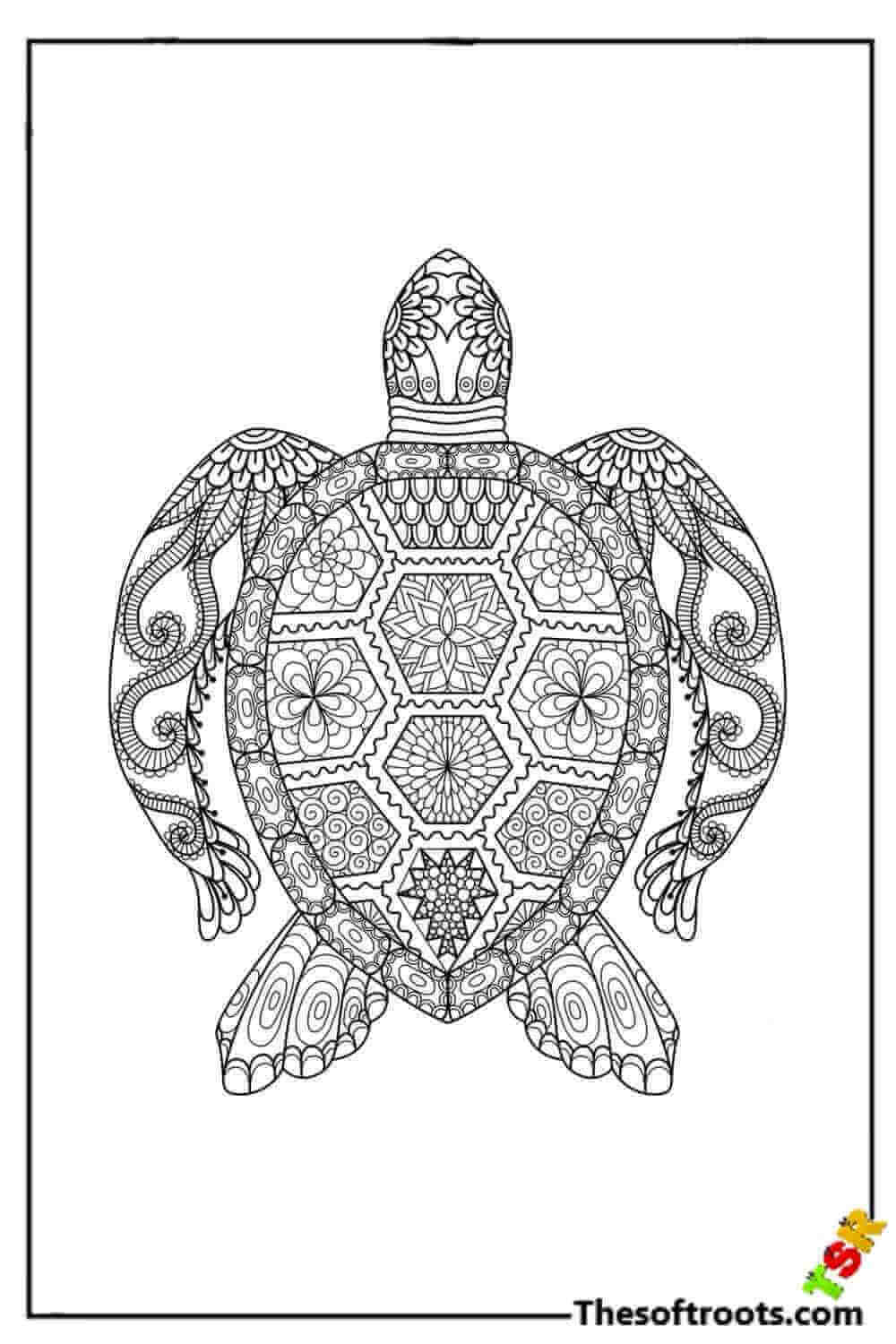 Adult Turtle coloring pages