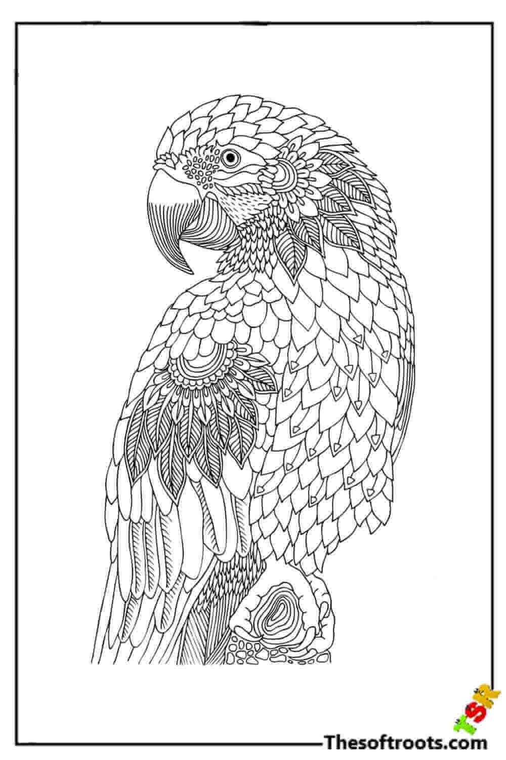 Adult parrot coloring pages