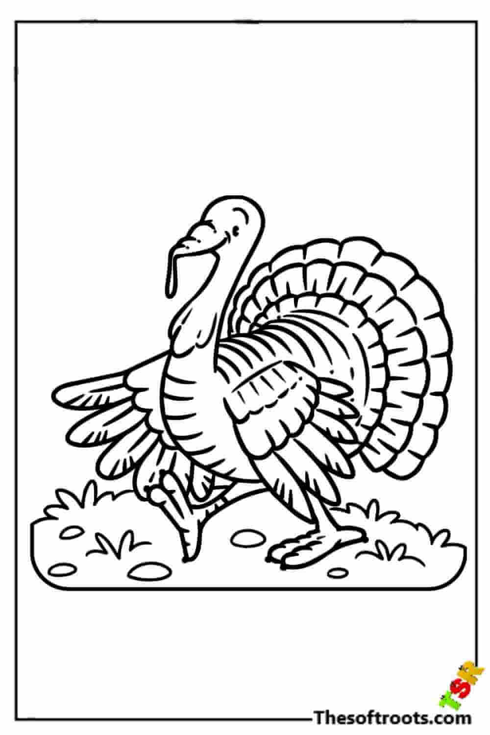 Cartoon turkey playing coloring pages