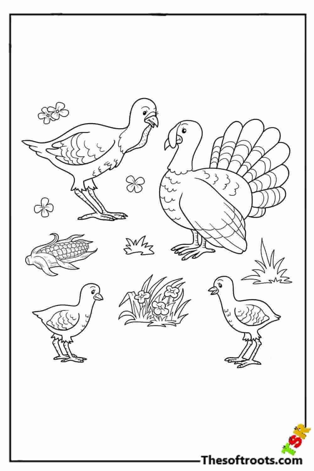 Turkey family coloring pages