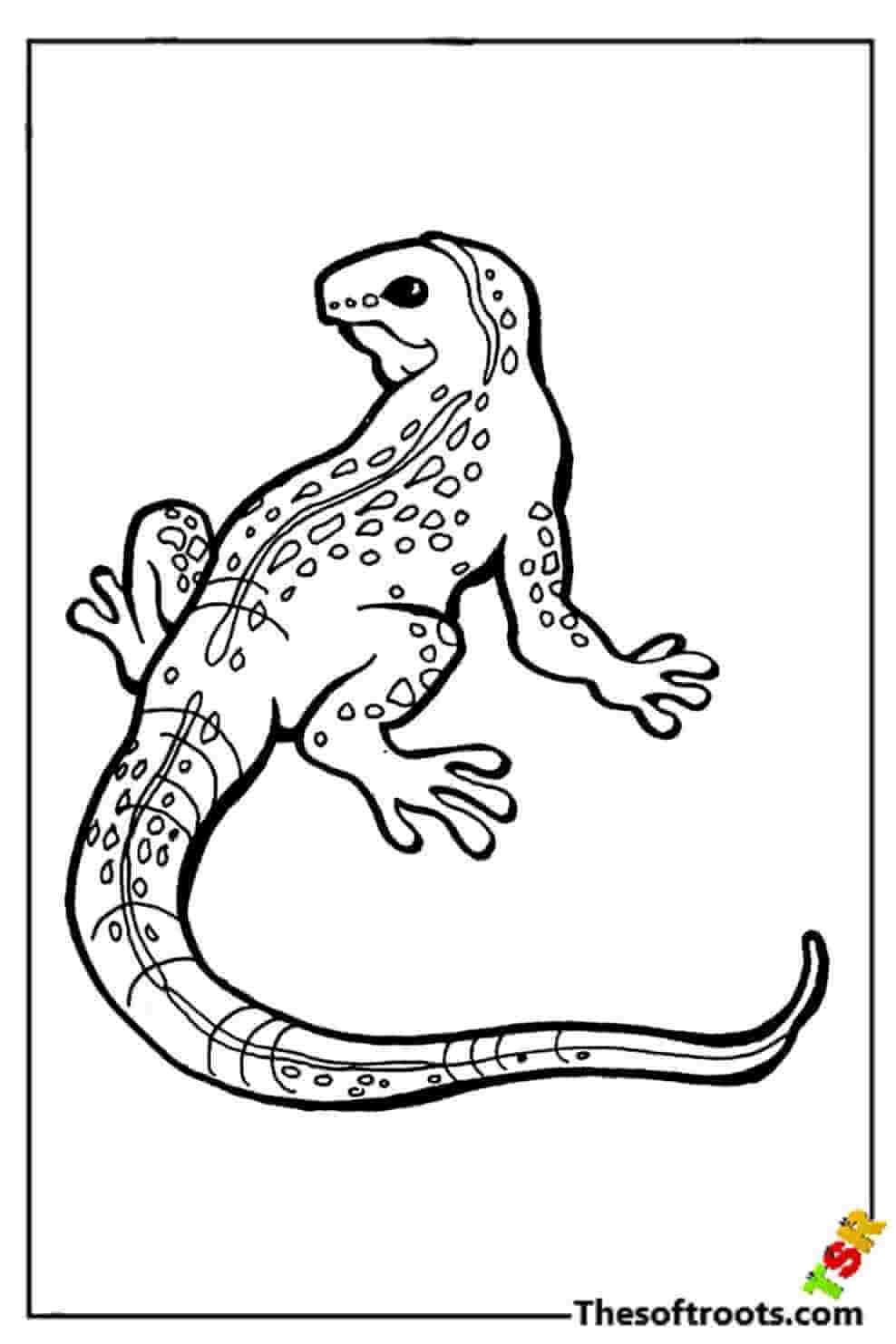 Easy lizard coloring pages
