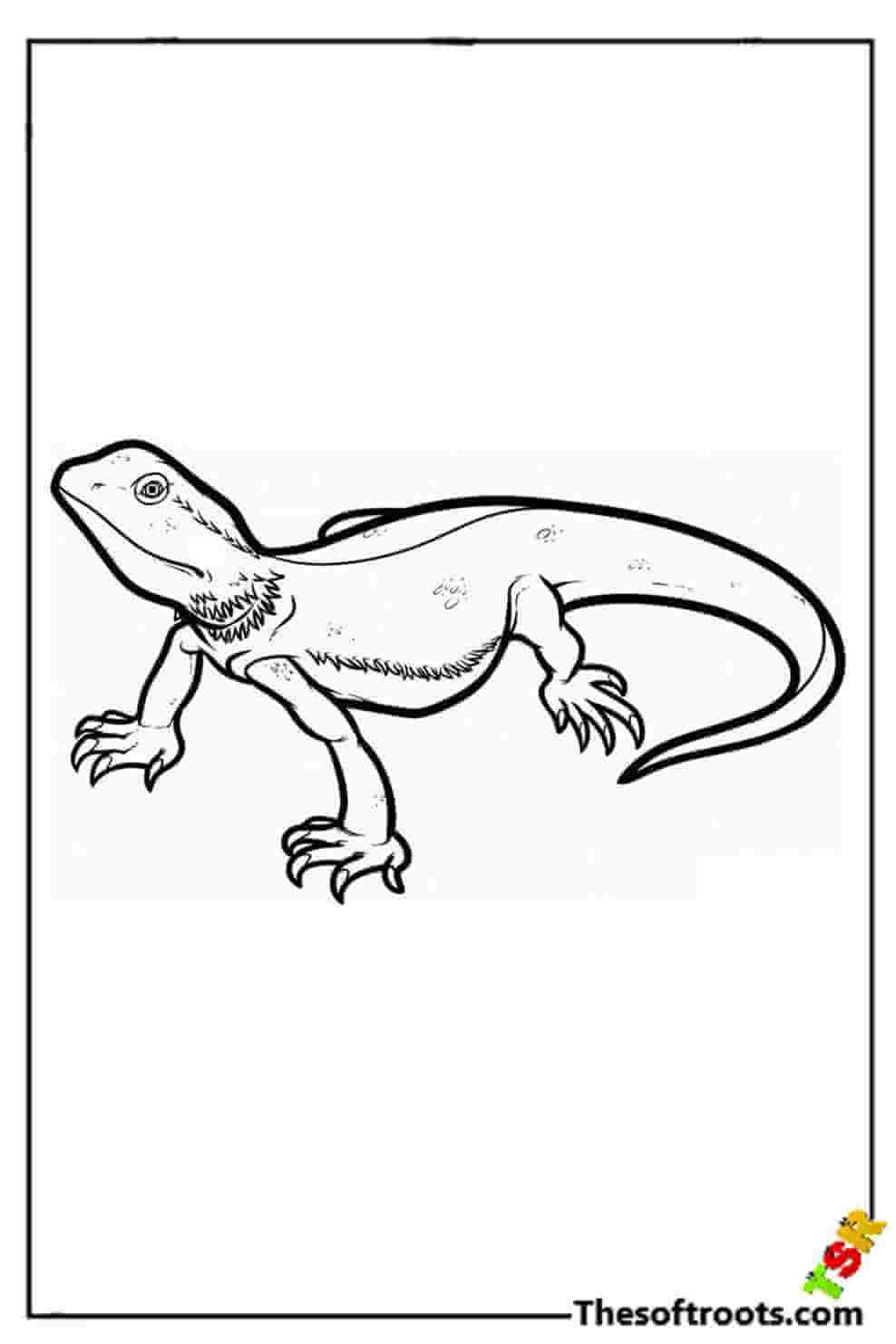 Printable Lizard Coloring Pages