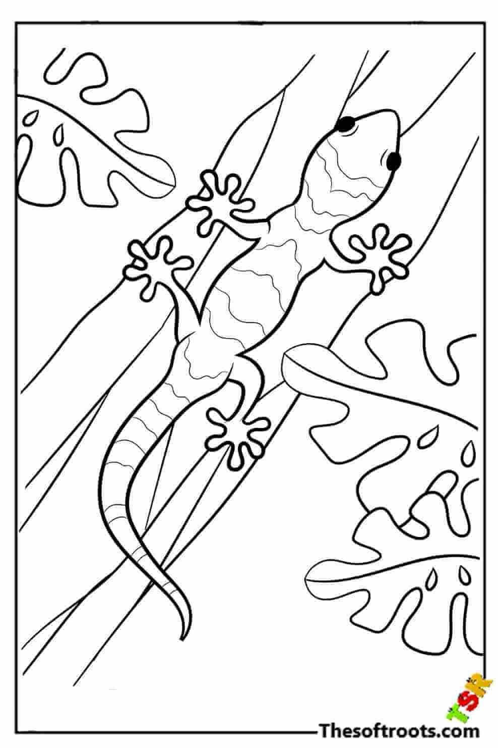 Lizard in the jungle coloring pages