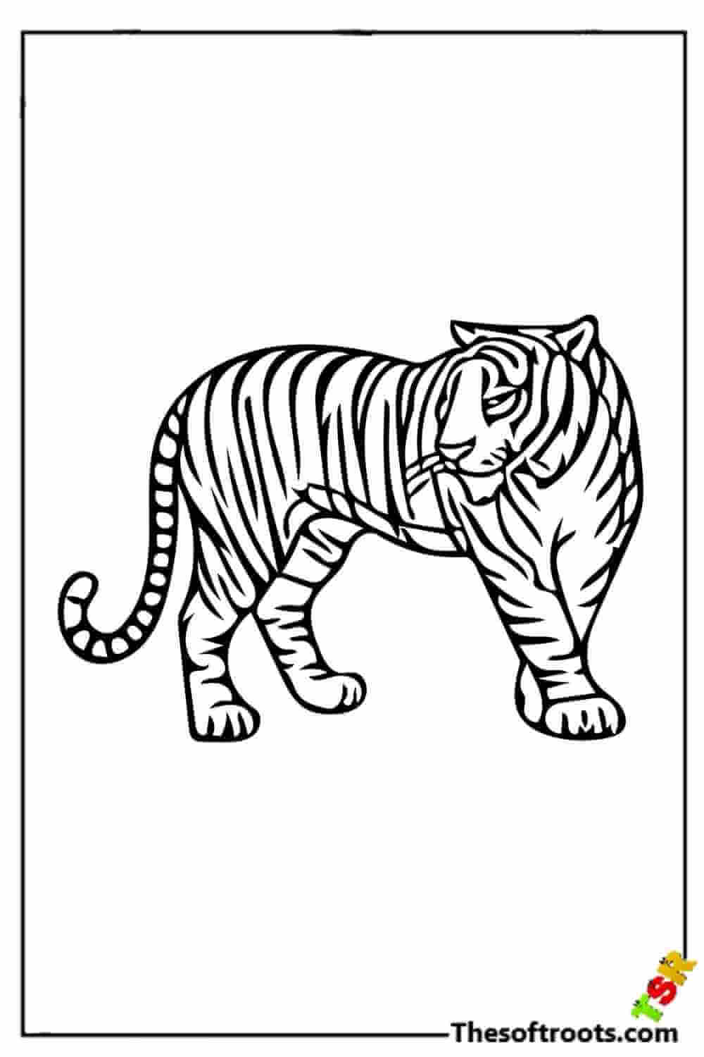 Realistic Tiger coloring pages