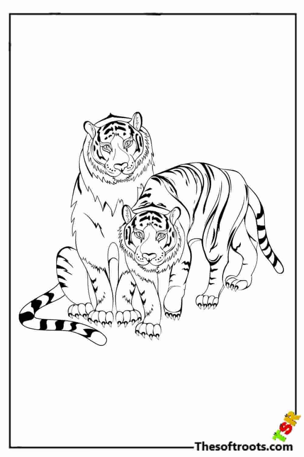 Two realistic tiger friends coloring pages