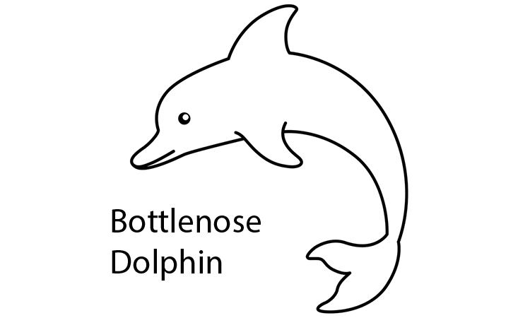 Bottlenose dolphin Coloring Pages
