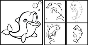 Dolphin Coloring pages