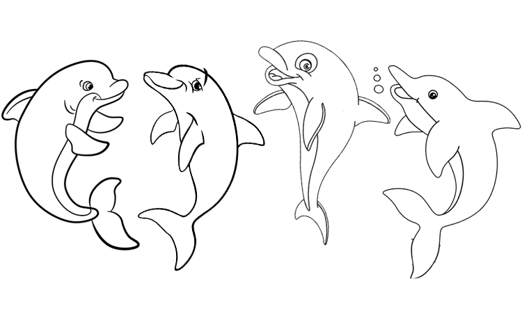 Four dolphins coloring pages