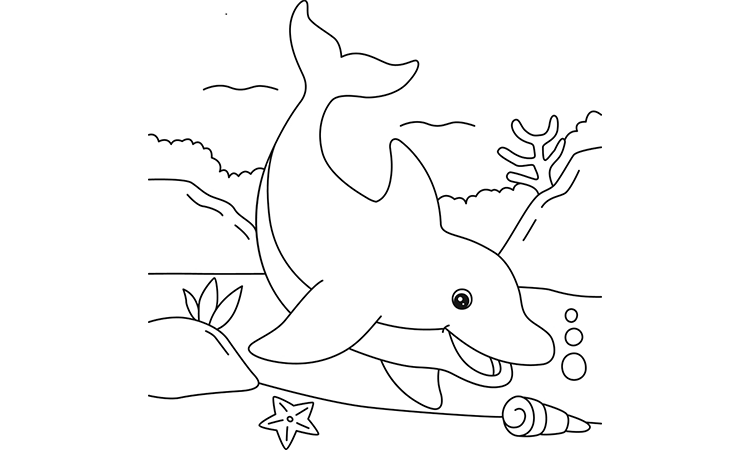 Pacific white sided dolphin coloring pages