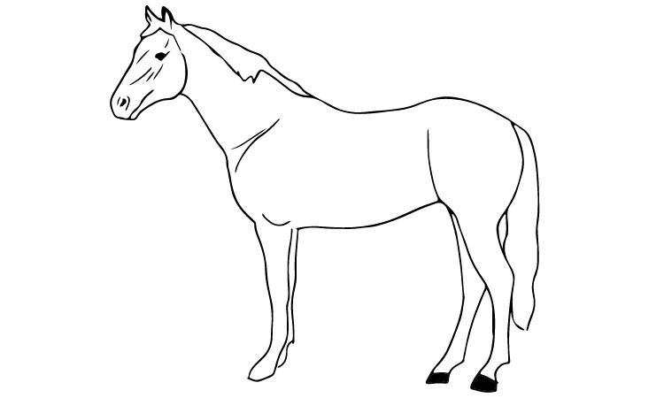 Realistic horse pages