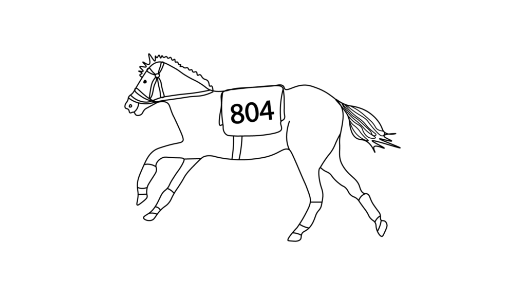 Horse racing coloring pages