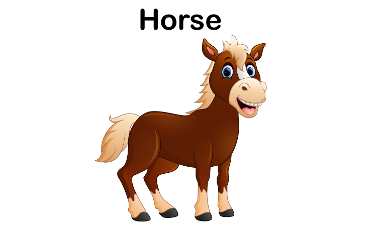 H for Horse