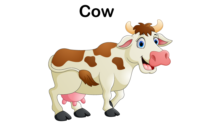 C for Cow