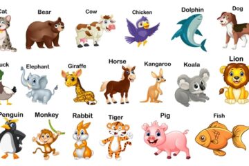 Learn Animal Names