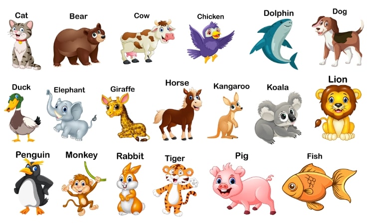 List of Animals Names With Picture - The Soft Roots