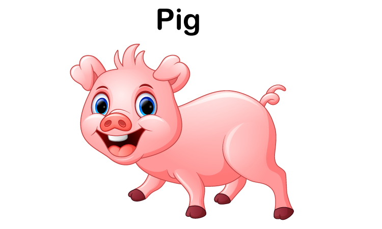 P for Pig